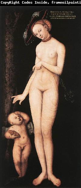 CRANACH, Lucas the Elder Venus and Cupid dsf